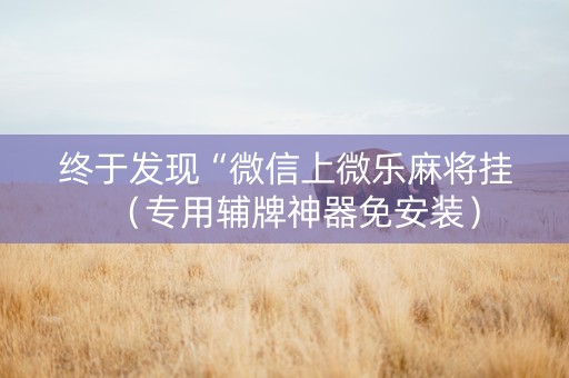 终于发现“微信上微乐麻将挂（专用辅牌神器免安装）