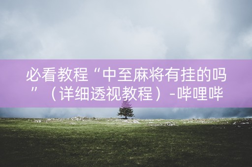 必看教程“中至麻将有挂的吗”（详细透视教程）-哔哩哔哩