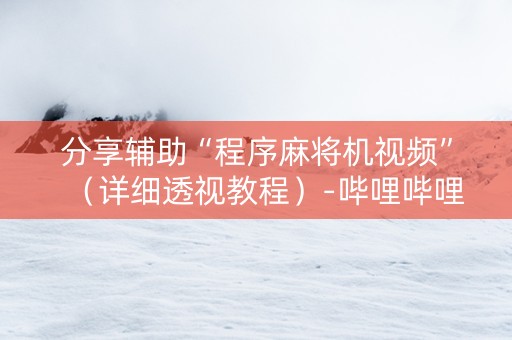分享辅助“程序麻将机视频”（详细透视教程）-哔哩哔哩