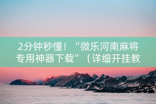 2分钟秒懂！“微乐河南麻将专用神器下载”（详细开挂教程）-哔哩哔哩