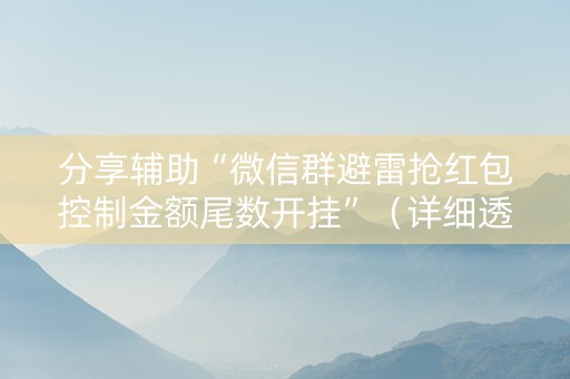 分享辅助“微信群避雷抢红包控制金额尾数开挂”（详细透视教程）-哔哩哔哩