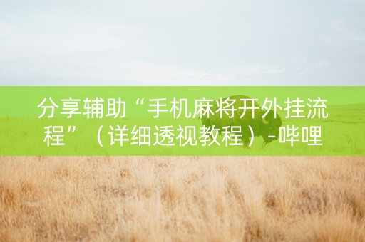 分享辅助“手机麻将开外挂流程”（详细透视教程）-哔哩哔哩
