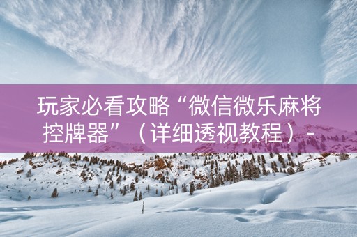 玩家必看攻略“微信微乐麻将控牌器”（详细透视教程）-哔哩哔哩