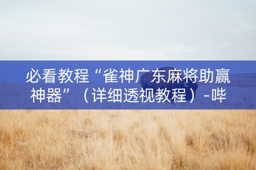 必看教程“雀神广东麻将助赢神器”（详细透视教程）-哔哩哔哩