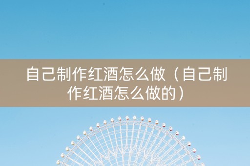自己制作红酒怎么做（自己制作红酒怎么做的）
