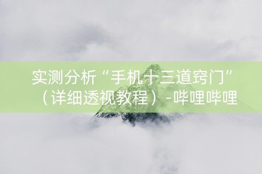实测分析“手机十三道窍门”（详细透视教程）-哔哩哔哩