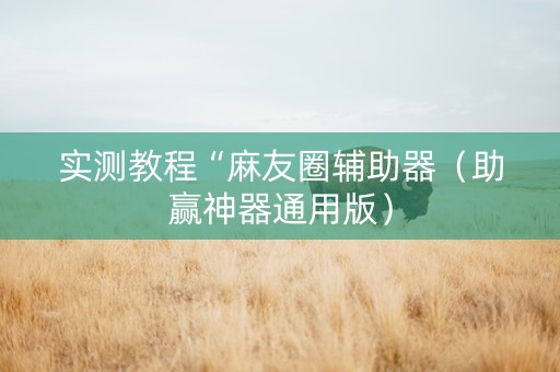 实测教程“麻友圈辅助器（助赢神器通用版）