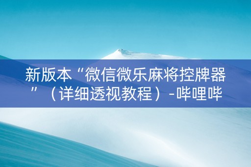 新版本“微信微乐麻将控牌器”（详细透视教程）-哔哩哔哩