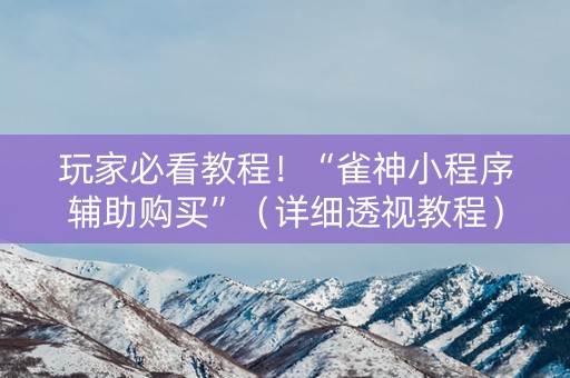 玩家必看教程！“雀神小程序辅助购买”（详细透视教程）-哔哩哔哩