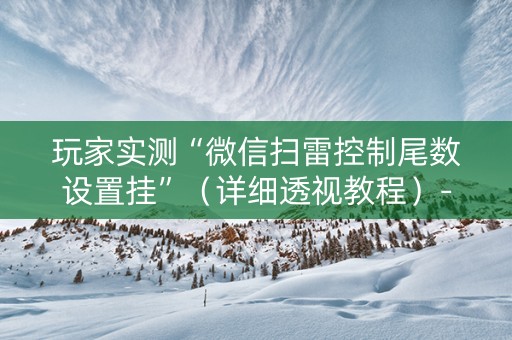 玩家实测“微信扫雷控制尾数设置挂”（详细透视教程）-哔哩哔哩