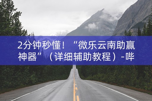 2分钟秒懂！“微乐云南助赢神器”（详细辅助教程）-哔哩哔哩