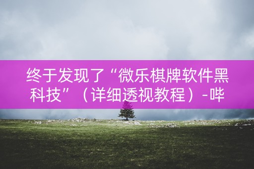 终于发现了“微乐棋牌软件黑科技”（详细透视教程）-哔哩哔哩