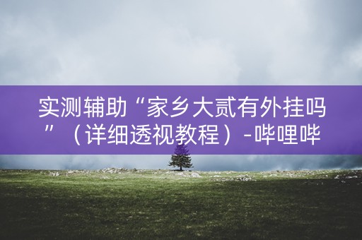 实测辅助“家乡大贰有外挂吗”（详细透视教程）-哔哩哔哩