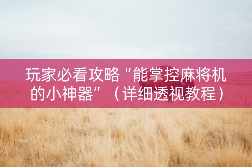 玩家必看攻略“能掌控麻将机的小神器”（详细透视教程）-哔哩哔哩