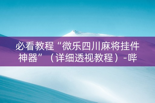 必看教程“微乐四川麻将挂件神器”（详细透视教程）-哔哩哔哩