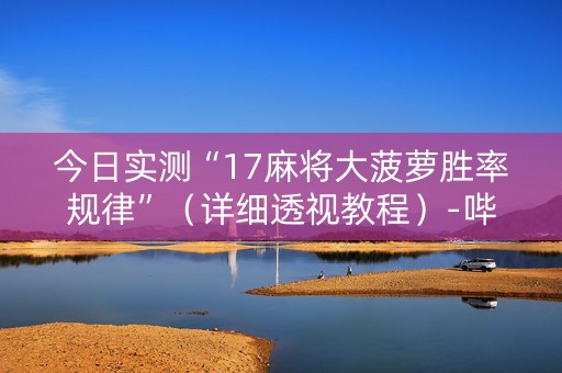 今日实测“17麻将大菠萝胜率规律”（详细透视教程）-哔哩哔哩