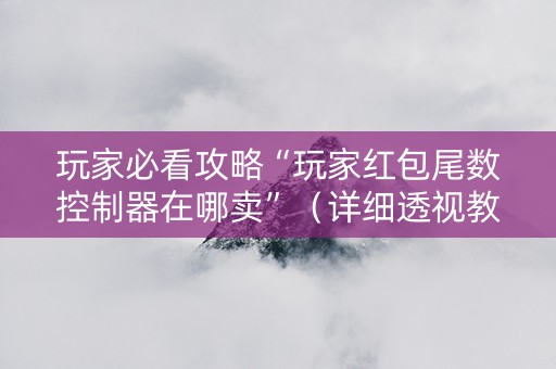 玩家必看攻略“玩家红包尾数控制器在哪卖”（详细透视教程）-哔哩哔哩
