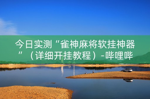 今日实测“雀神麻将软挂神器”（详细开挂教程）-哔哩哔哩