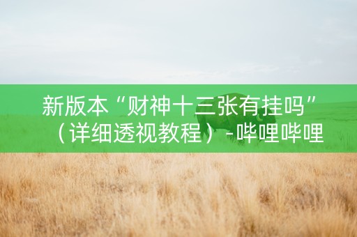 新版本“财神十三张有挂吗”（详细透视教程）-哔哩哔哩