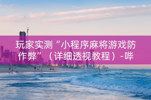玩家实测“小程序麻将游戏防作弊”（详细透视教程）-哔哩哔哩
