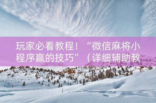 玩家必看教程！“微信麻将小程序赢的技巧”（详细辅助教程）-哔哩哔哩