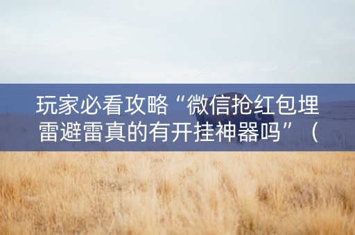 玩家必看攻略“微信抢红包埋雷避雷真的有开挂神器吗”（详细透视教程）-哔哩哔哩