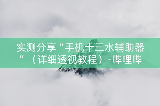 实测分享“手机十三水辅助器”（详细透视教程）-哔哩哔哩