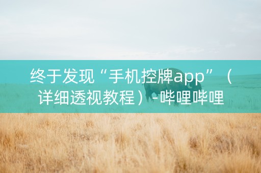 终于发现“手机控牌app”（详细透视教程）-哔哩哔哩