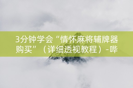 3分钟学会“情怀麻将辅牌器购买”（详细透视教程）-哔哩哔哩