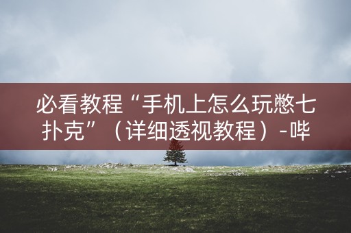 必看教程“手机上怎么玩憋七扑克”（详细透视教程）-哔哩哔哩