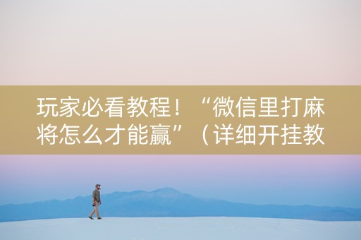 玩家必看教程！“微信里打麻将怎么才能赢”（详细开挂教程）-哔哩哔哩