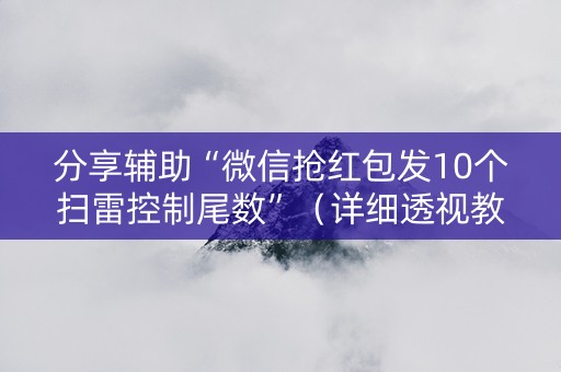 分享辅助“微信抢红包发10个扫雷控制尾数”（详细透视教程）-哔哩哔哩