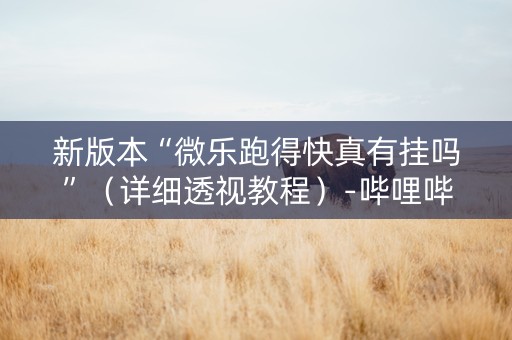 新版本“微乐跑得快真有挂吗”（详细透视教程）-哔哩哔哩