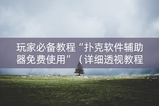 玩家必备教程“扑克软件辅助器免费使用”（详细透视教程）-哔哩哔哩