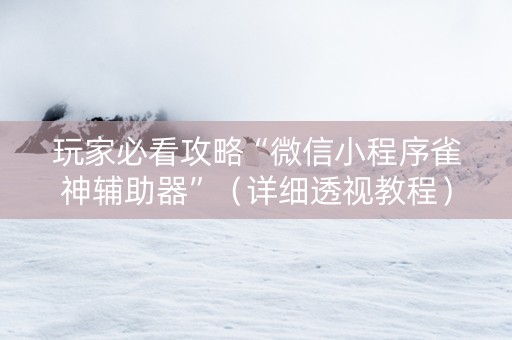 玩家必看攻略“微信小程序雀神辅助器”（详细透视教程）-哔哩哔哩