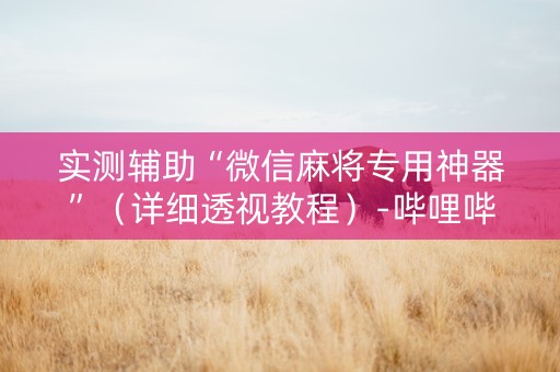 实测辅助“微信麻将专用神器”（详细透视教程）-哔哩哔哩