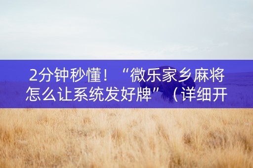 2分钟秒懂！“微乐家乡麻将怎么让系统发好牌”（详细开挂教程）-哔哩哔哩