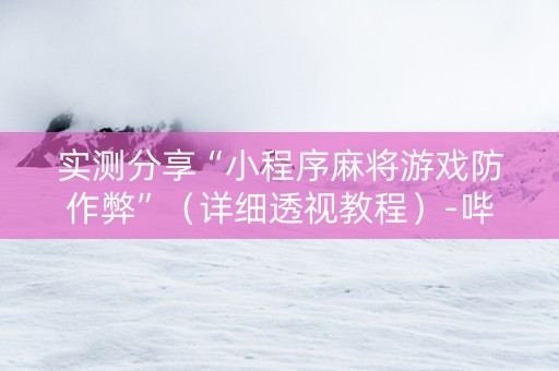 实测分享“小程序麻将游戏防作弊”（详细透视教程）-哔哩哔哩
