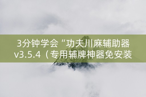 3分钟学会“功夫川麻辅助器v3.5.4（专用辅牌神器免安装）
