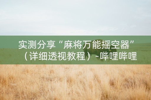 实测分享“麻将万能摇空器”（详细透视教程）-哔哩哔哩
