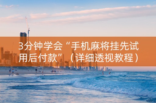 3分钟学会“手机麻将挂先试用后付款”（详细透视教程）-哔哩哔哩