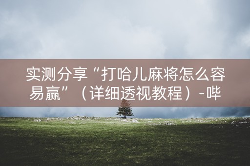 实测分享“打哈儿麻将怎么容易赢”（详细透视教程）-哔哩哔哩