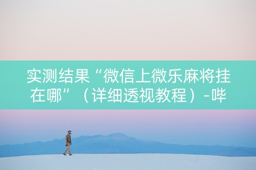 实测结果“微信上微乐麻将挂在哪”（详细透视教程）-哔哩哔哩