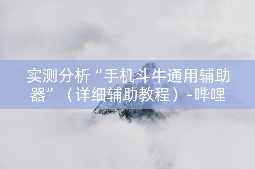 实测分析“手机斗牛通用辅助器”（详细辅助教程）-哔哩哔哩