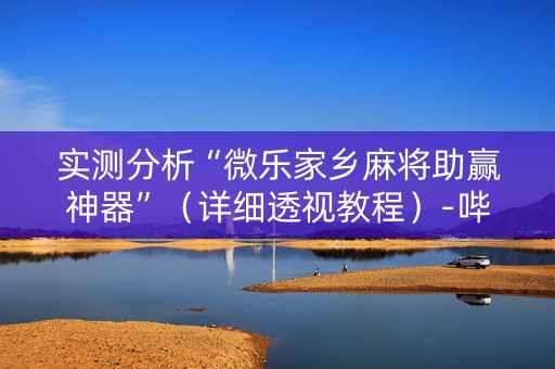实测分析“微乐家乡麻将助赢神器”（详细透视教程）-哔哩哔哩
