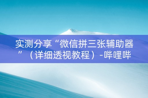 实测分享“微信拼三张辅助器”（详细透视教程）-哔哩哔哩