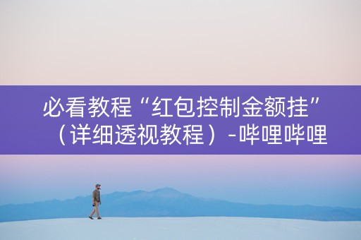必看教程“红包控制金额挂”（详细透视教程）-哔哩哔哩