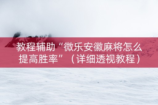 教程辅助“微乐安徽麻将怎么提高胜率”（详细透视教程）-哔哩哔哩