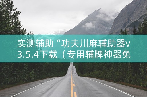 实测辅助“功夫川麻辅助器v3.5.4下载（专用辅牌神器免安装）