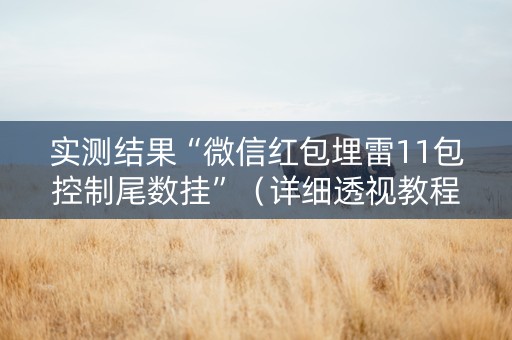 实测结果“微信红包埋雷11包控制尾数挂”（详细透视教程）-哔哩哔哩